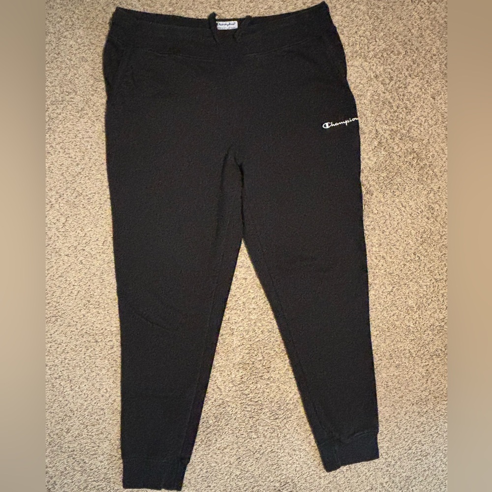 Champion sweatpants, size L, very comfy.